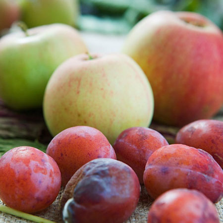 2. Không có cái gọi là “phụ trách calo” 1